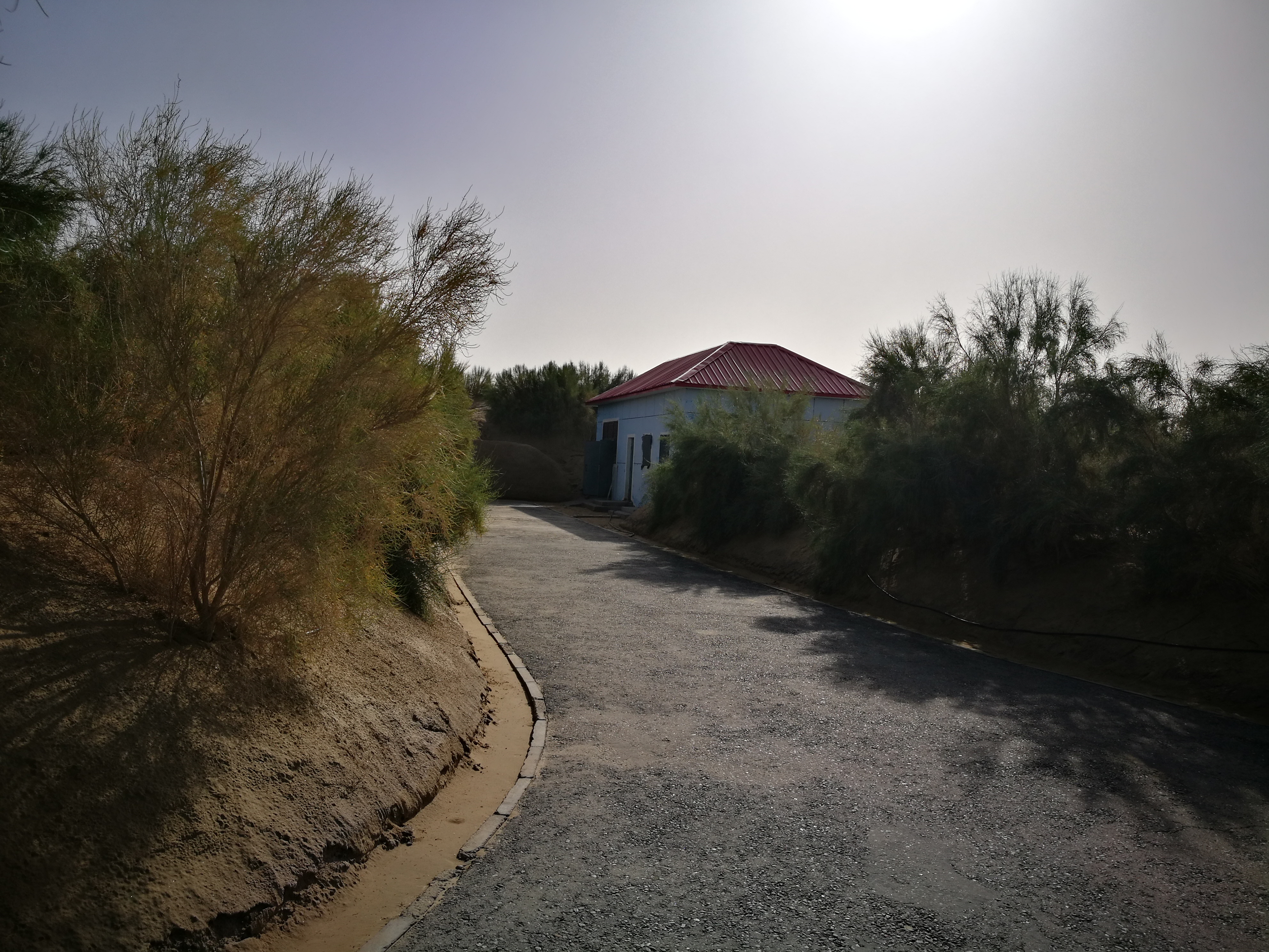 13000公里新手独驾*疆新**第23天——穿越塔克拉玛干沙漠，遭遇陷车