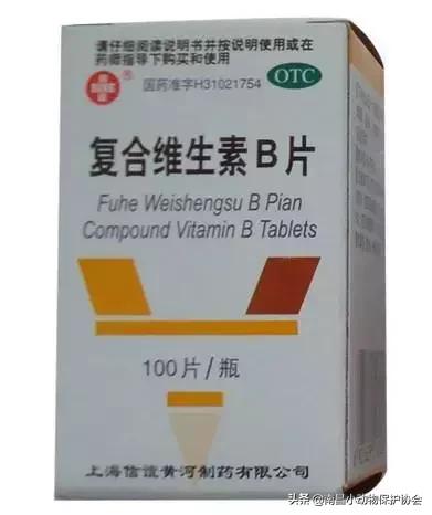 治疗狗皮肤病最见效的药,狗子皮肤病治愈全过程