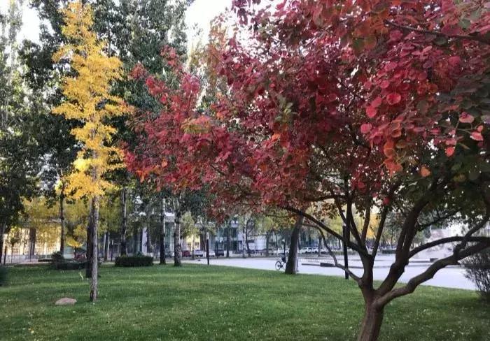 天津夜景打卡地点推荐,天津必去的十大打卡地你走过几处