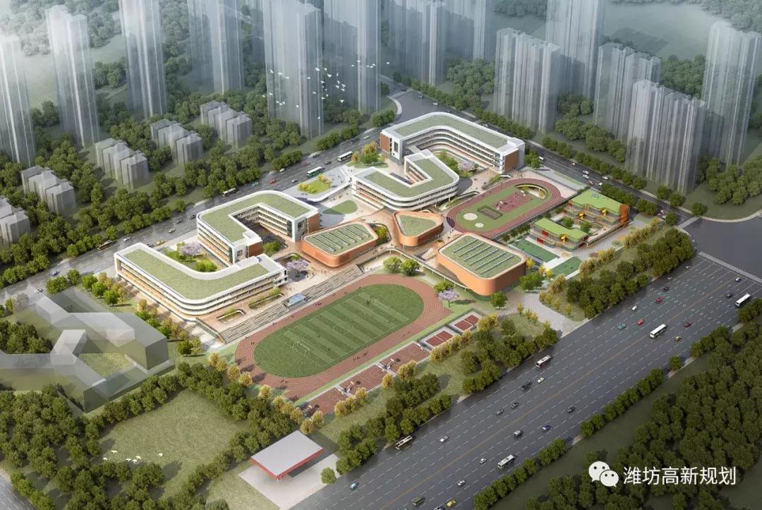 恒信新天国际小院,恒信新天国际装修