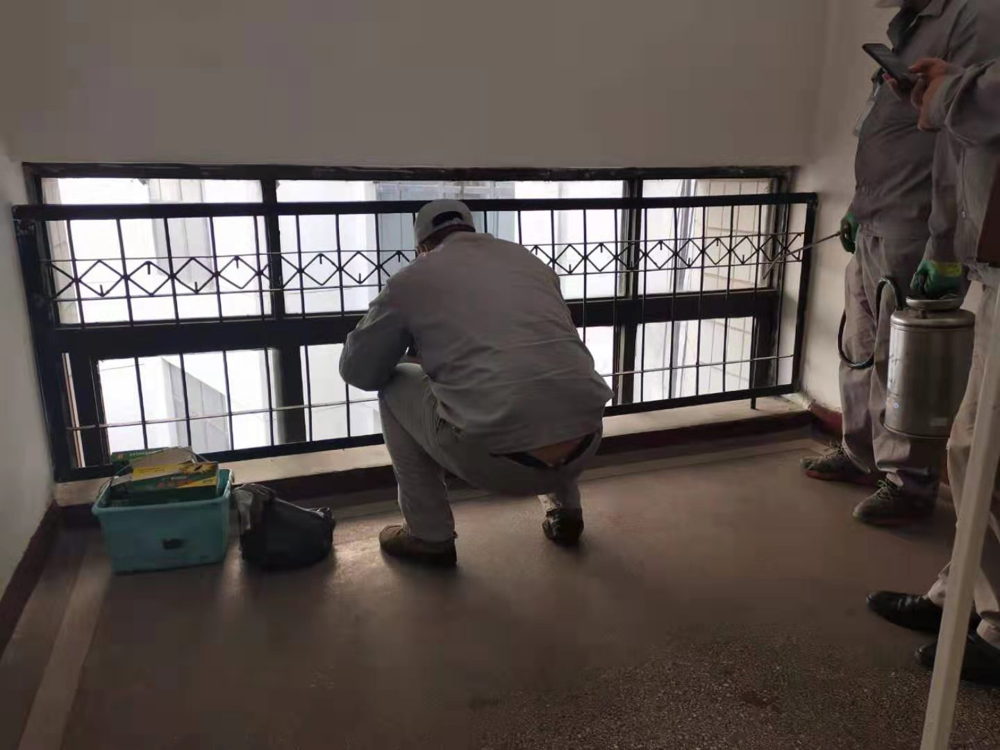 广州办公楼四害消杀附近公司,江门办公楼四害消杀专业团队