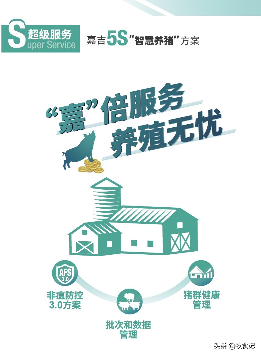 嘉吉动物营养成功案例,嘉吉动物营养最新消息