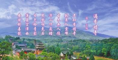 品诗中的意境,品诗句悟诗情