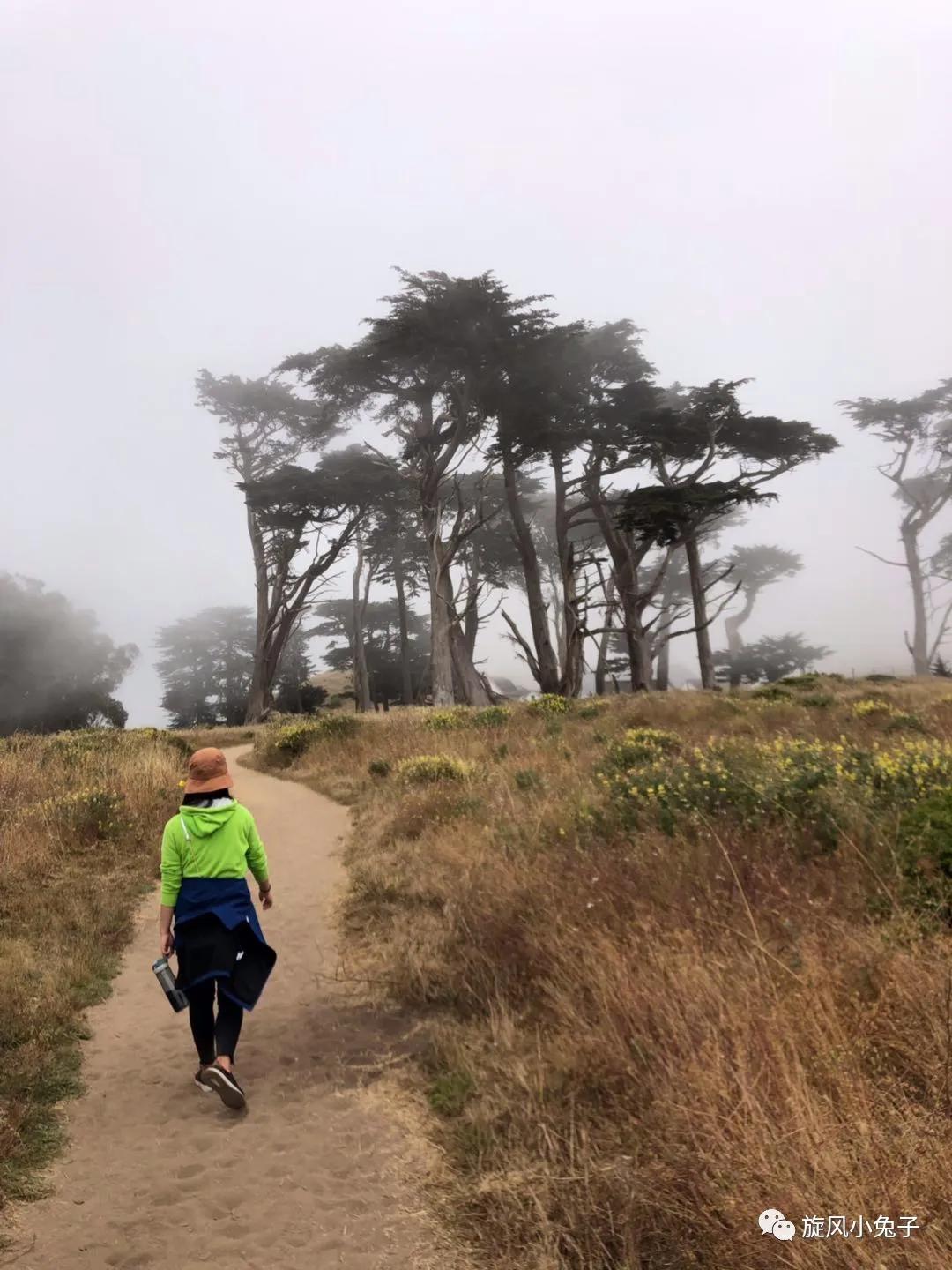 加州沿海1号公路,加州沿海一号公路一日游推荐