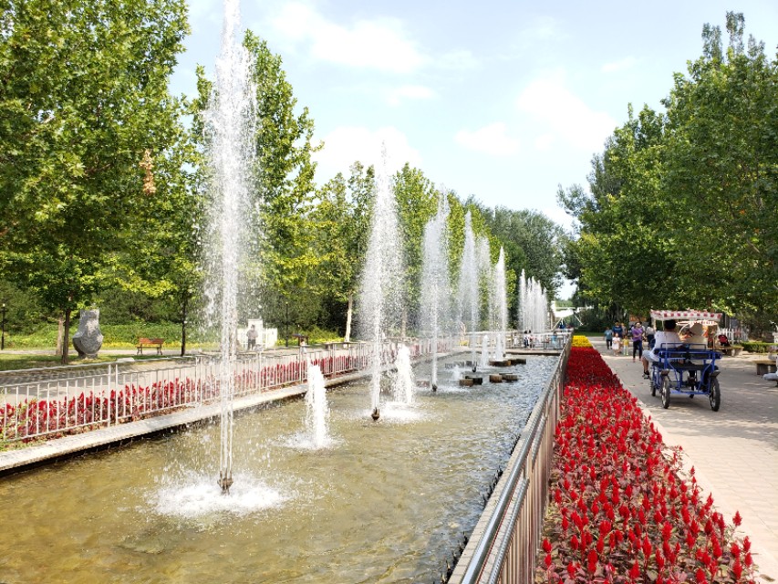 北京适合带娃遛狗的公园推荐,北京适合带娃溜达的公园