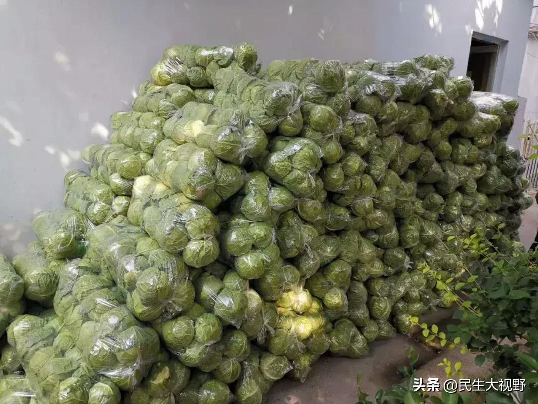 鐖卞績浼佷笟鐐硅禐,鐖卞績鍏泭鐐硅禐