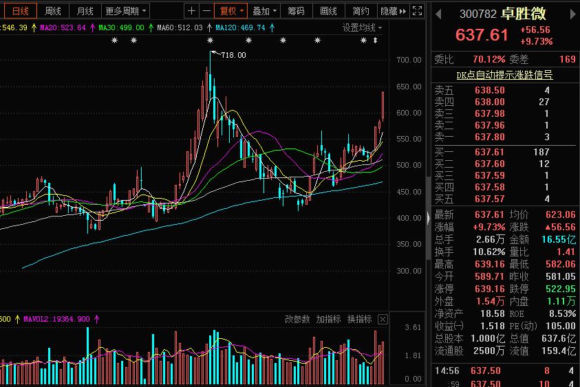 芯片龙头股有哪些002236,半导体芯片概念龙头股一览