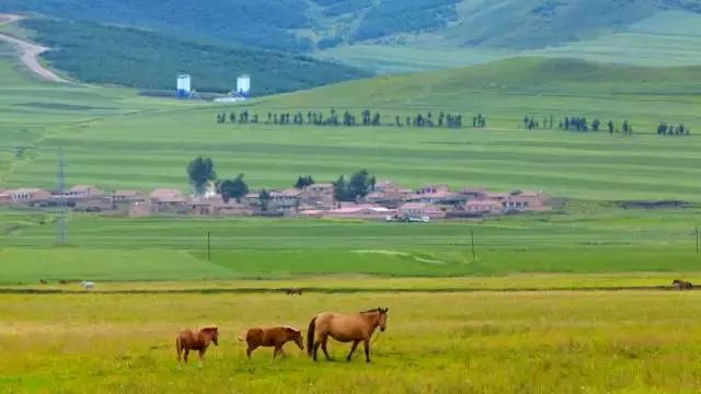 中国最美县城云南有几个,中国最美的100个地方云南