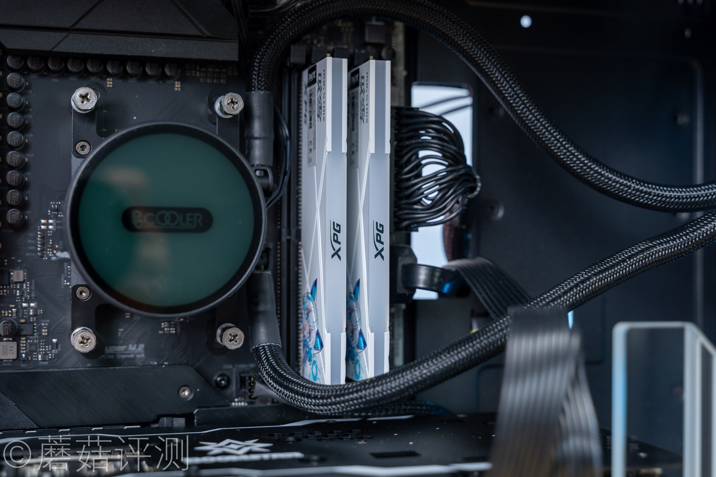 威刚龙耀d50吹雪联名用的什么颗粒,龙耀d50吹雪和普通版有什么区别