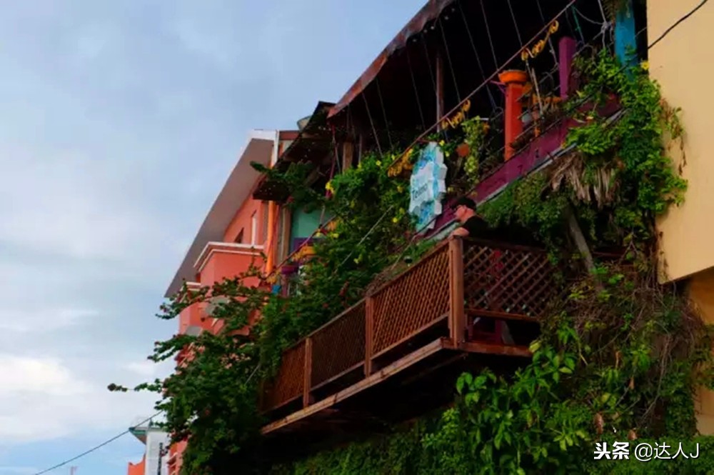 小天绝地求生,小天蜘蛛