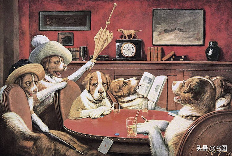 狗玩扑克牌视频,狗玩扑克