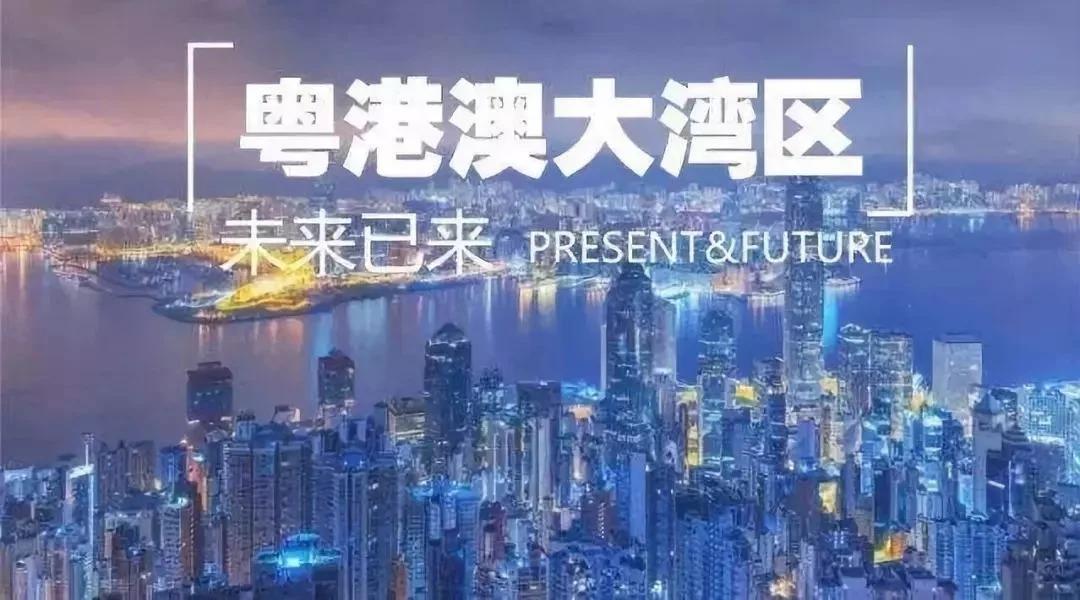 2022粤港澳大湾区招聘网,2023粤港澳大湾区招聘