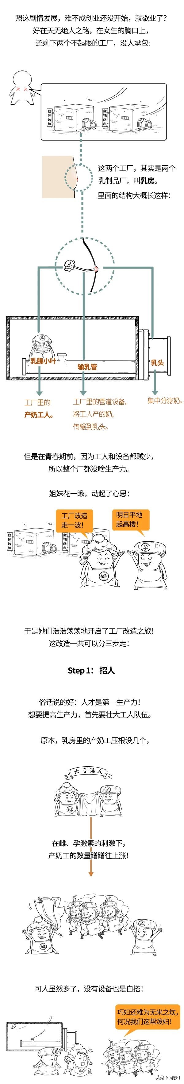 关于胸部发育的小知识,胸部发育知识解读