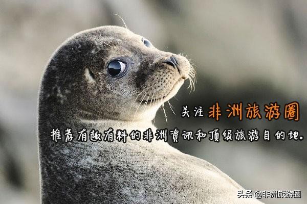 黑人跑得快是因为人种优势嘛？