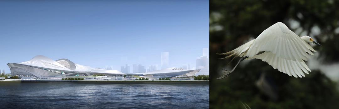 2023厦门亚洲杯,2023年亚洲杯体育场