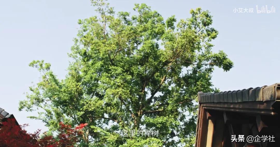 中式风格千万豪宅,中式家居豪宅