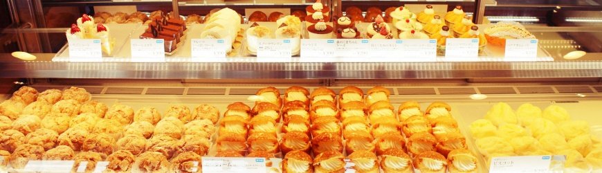 旭川机场,旭川机场到东京机场