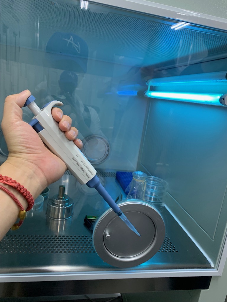 死掉的硝化菌,用了硝化菌鱼大量死亡