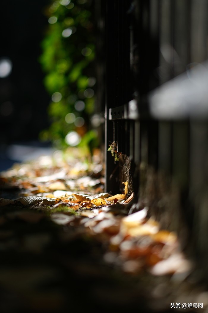 富士x-t30markii测评,富士x-t3深度评测