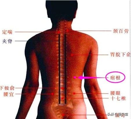 夏天艾灸该艾灸哪几个位置,又到了艾灸的季节