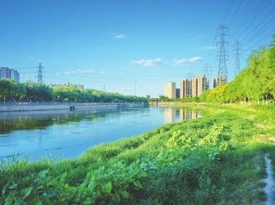 娓呮渤婊ㄦ按缁垮粖澶滄櫙,娓呮渤婊ㄦ按缁垮粖鍥剧墖