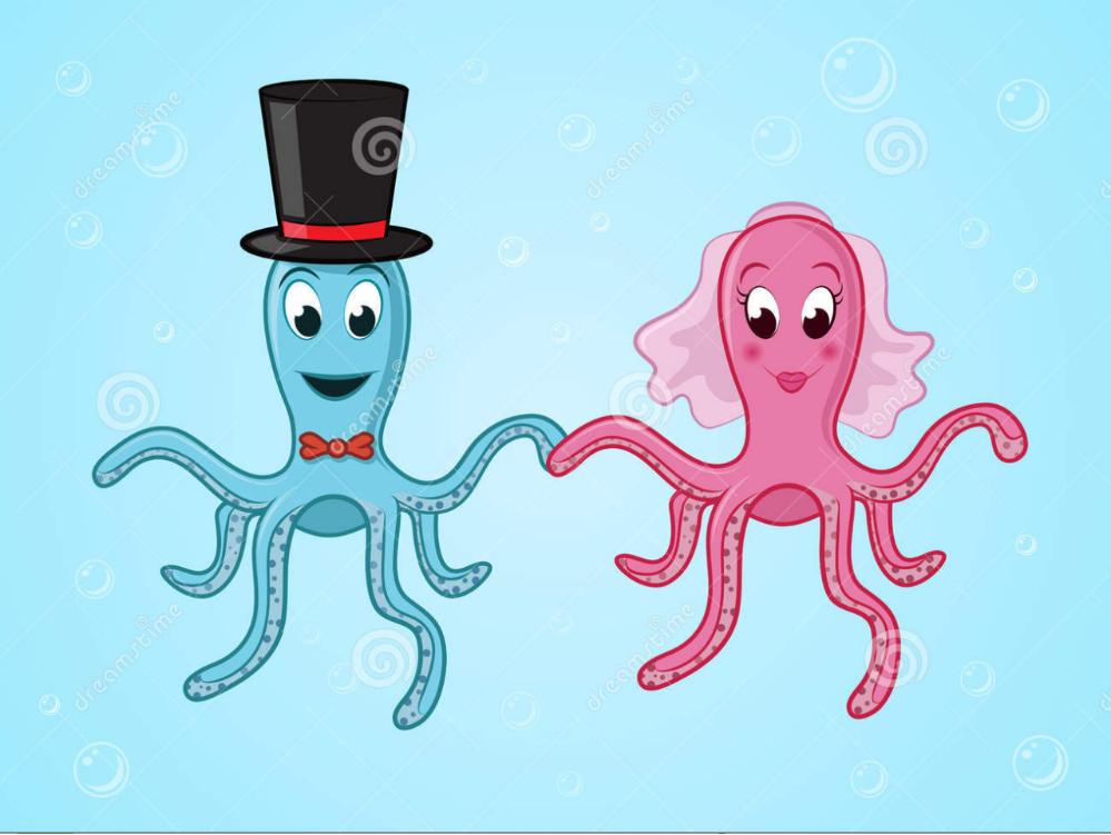 5-9岁儿童创意绘画：章鱼