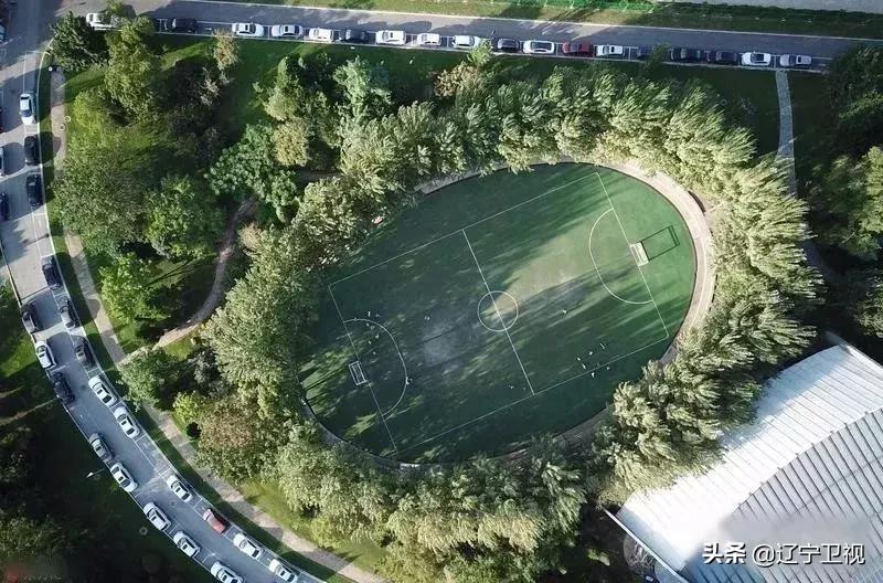 沈阳踢足球场所,沈阳可以免费踢球的地方