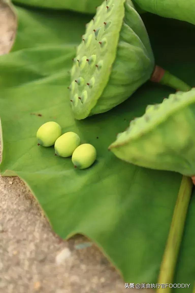 正宗广州味道在哪里,广州味道工厂在哪里