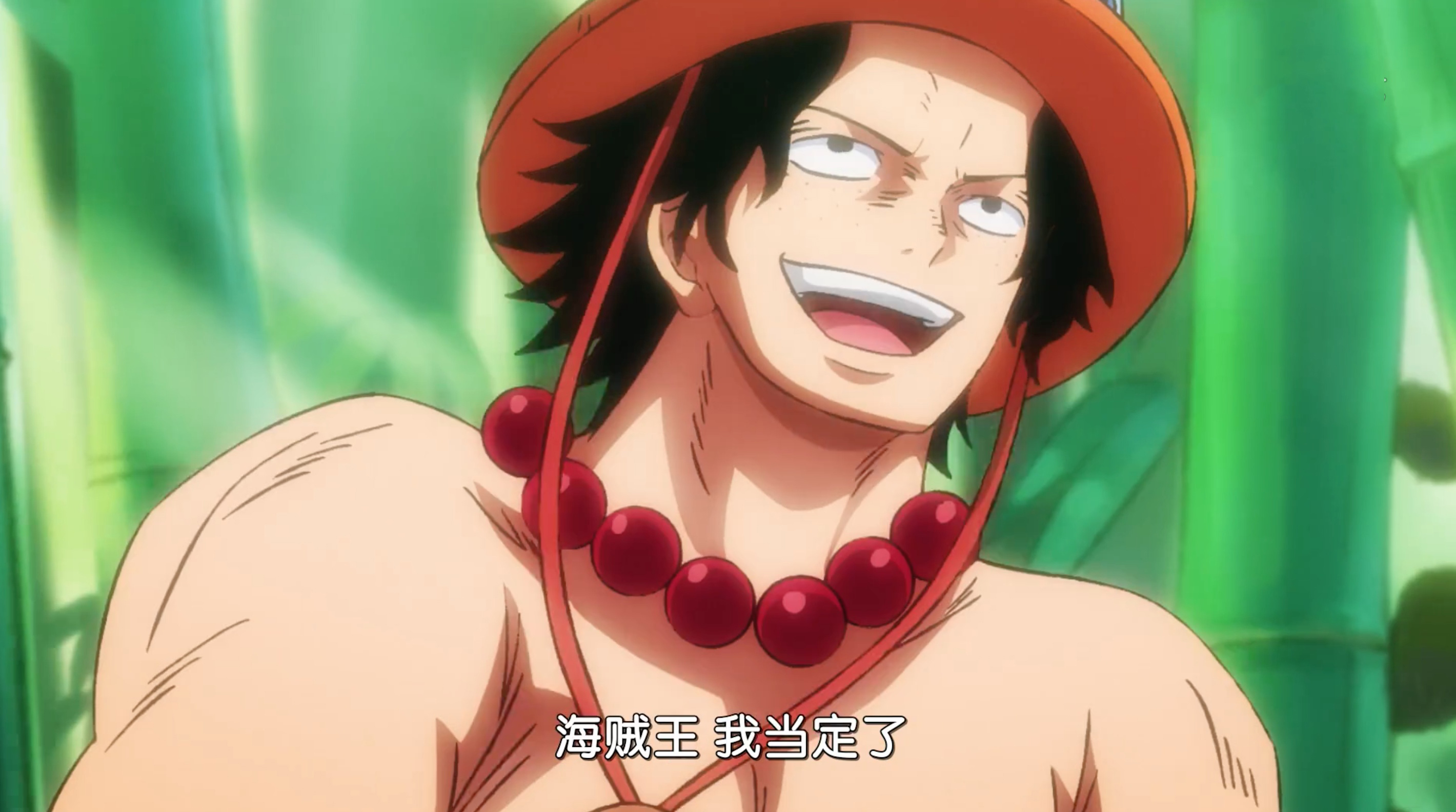 海贼王里的护妹狂魔,海贼王的宠弟狂魔