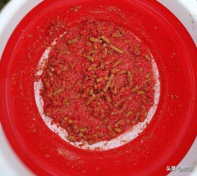 冬天钓鲫鱼加红虫粉好还是蚯蚓粉,蚯蚓冬天钓鲫鱼饵料