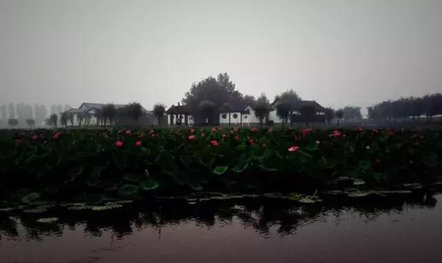 雄安必玩,雄安可以去的地方