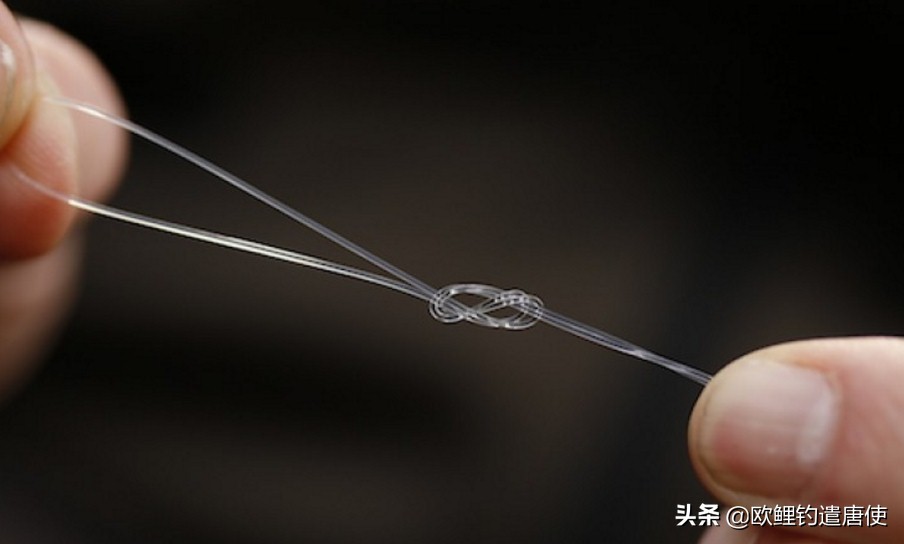 钓鱼也是一种技术,科学钓鱼的基本原理