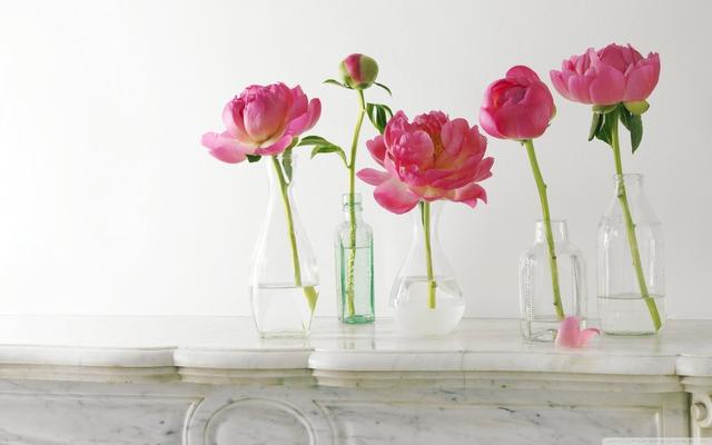 一个很自私的人是什么心态,自私的人十种表现