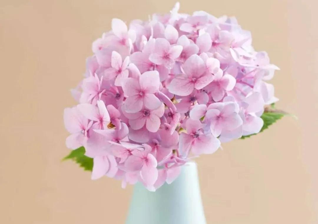 早教中心前期的销售准备工作,早教中心销售怎么样