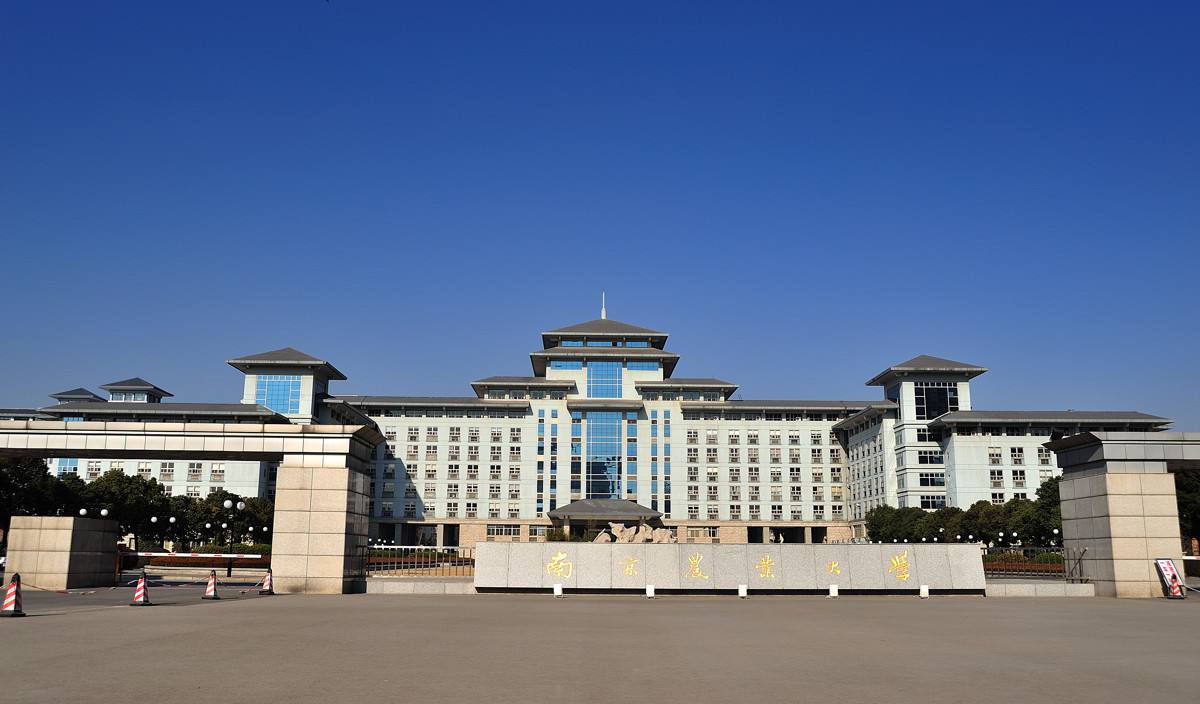 又有多少所高校更名,又一批大学改名