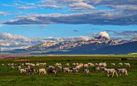 青海这片土地上的神秘之处,青海这片神奇而古老的土地