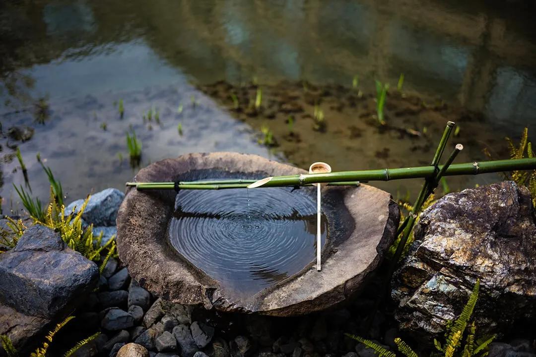 鎱㈣揪涓栫晫,鎱㈡父鍏ㄤ笘鐣岀浜屽鍦ㄧ嚎瑙傜湅