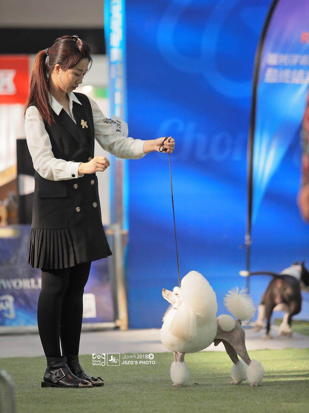 建议收藏|长城世界宠物美容大会（CGGC）全攻略