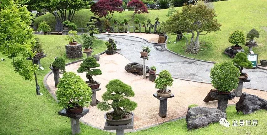 走进韩国思索之苑，这里算得上世界最美的庭园吗