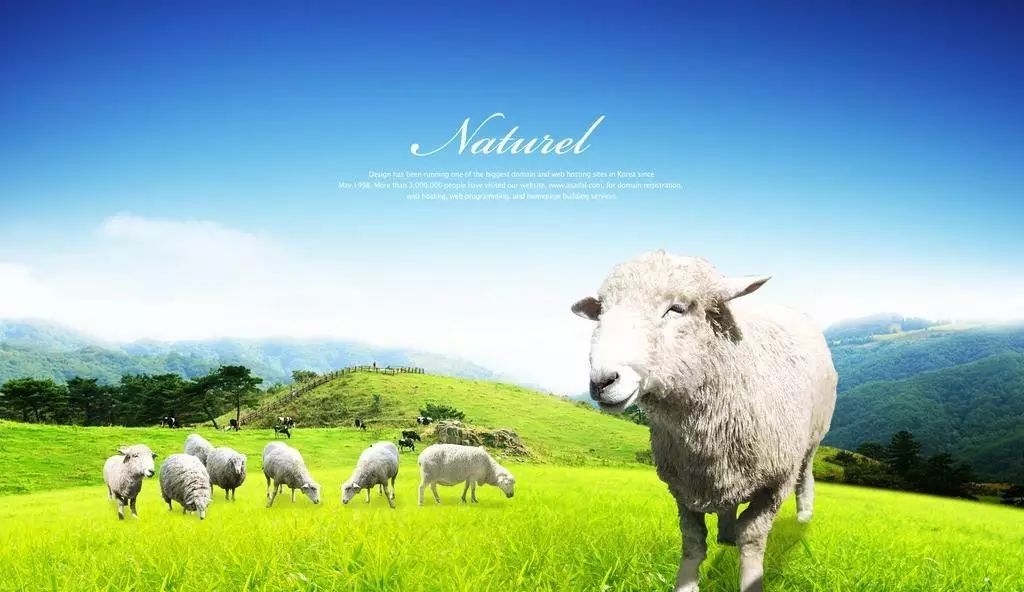 张柏芝自曝生三胎的原因,张柏芝自曝生三胎原因