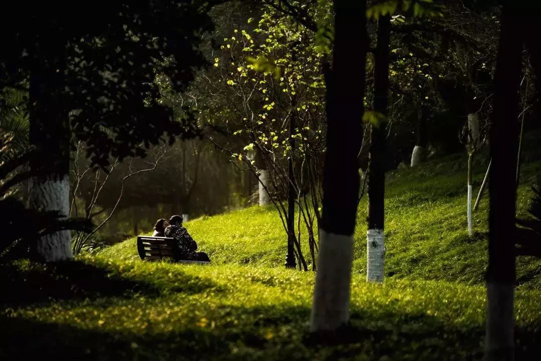 “真火”还是“虚火”？蔡家房价竟悄悄涨了3600元