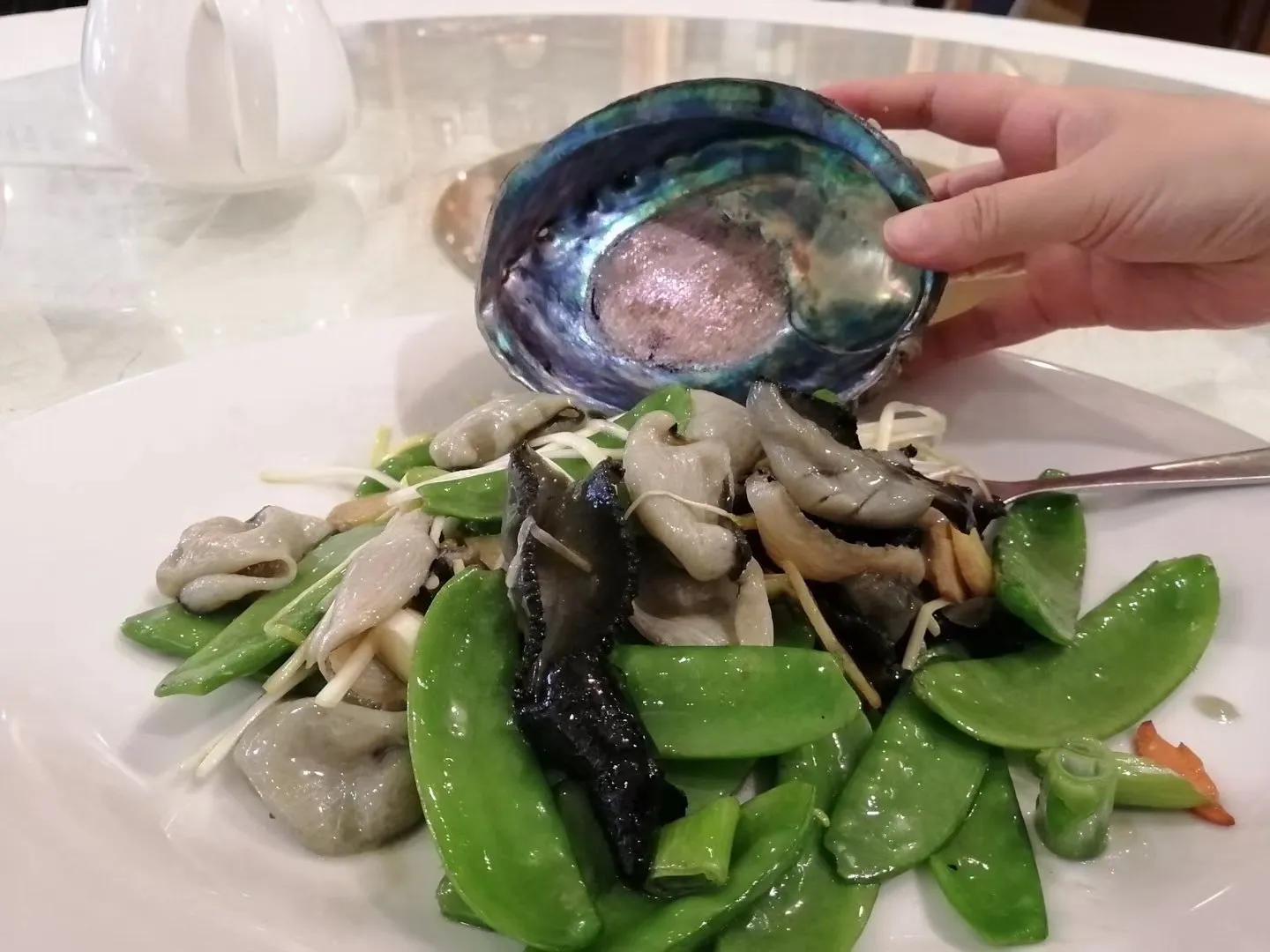 记忆中的旅行之新西兰（北岛）