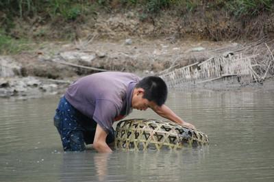 水产养殖水质偏酸用什么处理,水产养殖中水质超标的处理方法