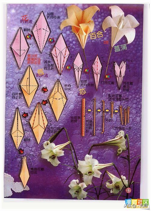 折纸大全方便又漂亮又实用,精致实用的折纸大全步骤