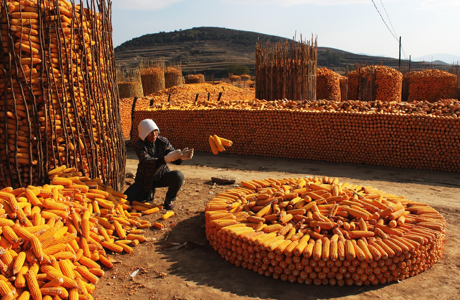 丰收快乐节,农民丰收节唱出丰收喜悦
