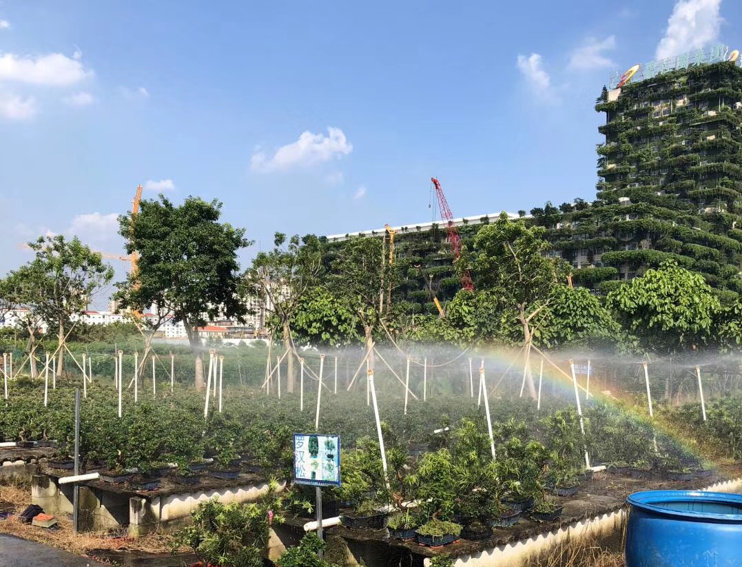 如何为你的植物选择合适的花盆,怎么选择合适的花盆口径