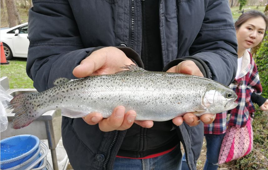 15天8000里,我们刚去名古屋和日本人抢了个五一假期
