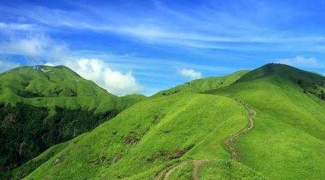 期货高手谈亏钱的主要原因,期货高手谈盘感