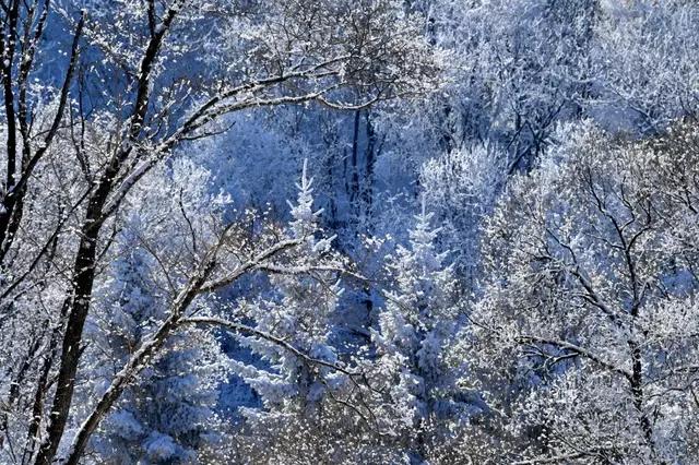 吉林省通化市柳河,吉林通化县柳河