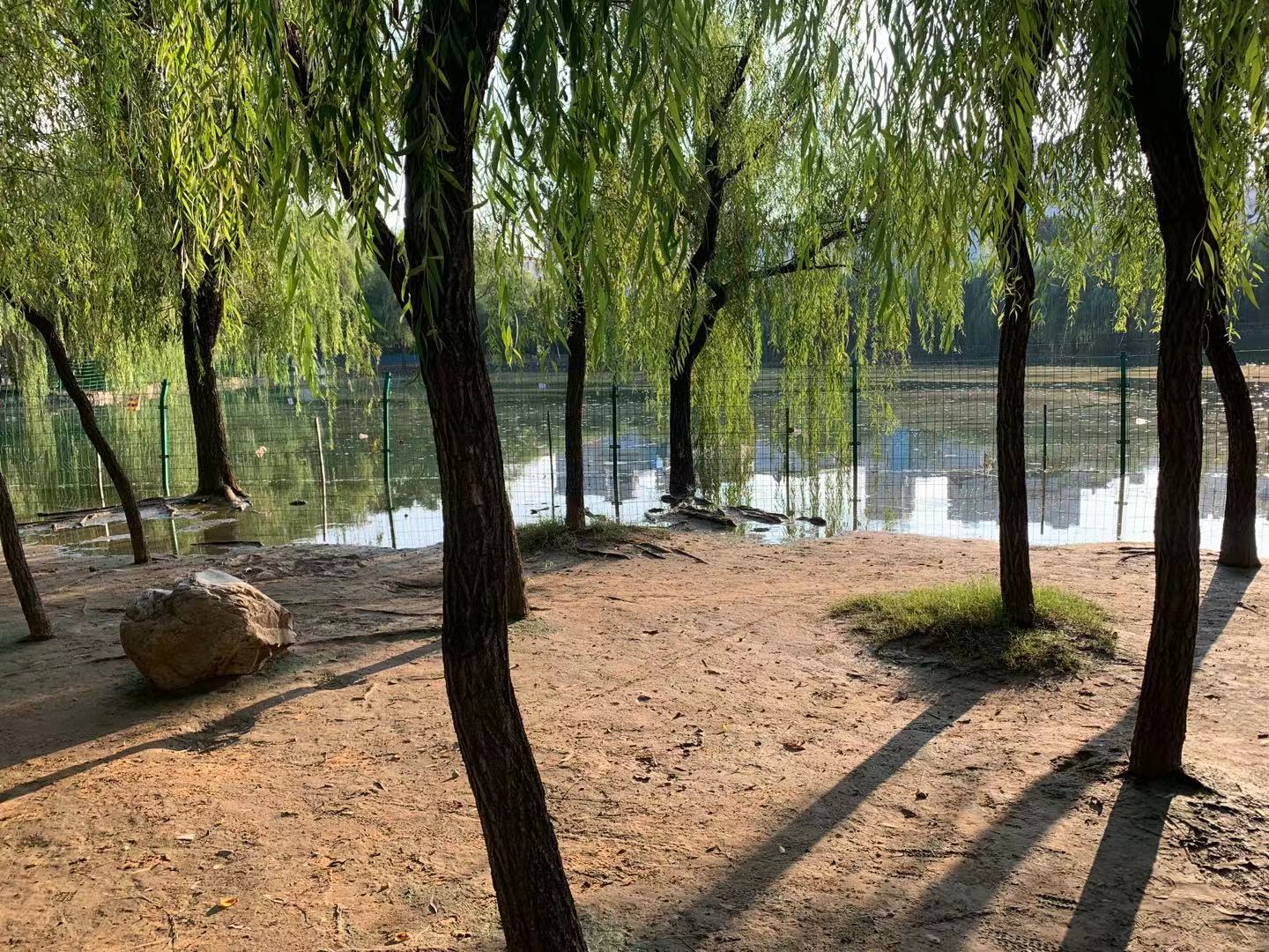 郑州21世纪社区杀人案,暴雨过后的郑州家园